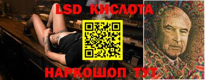 дурь Сланцы