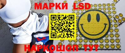 дурь Сланцы