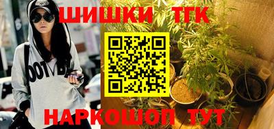 дурь Сланцы
