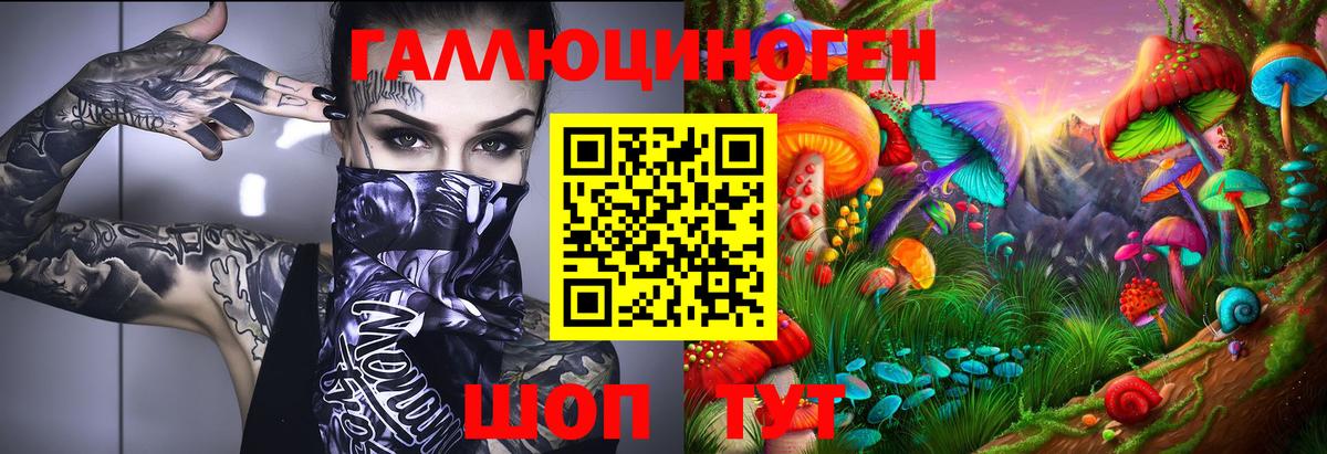 Галлюциногенные грибы Cubensis Обь