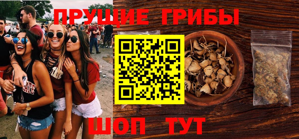 Обь  Псилоцибиновые грибы мухоморы  где найти   Вход с VPN 
